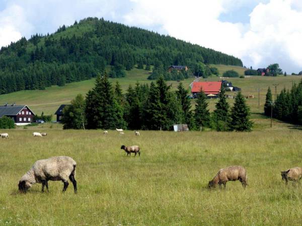 SKI Apartamenty - Karkonosze
