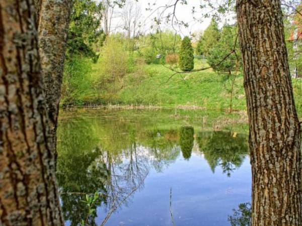Staw przed rekultywacją (obecnie w zagospodarowaniu) 