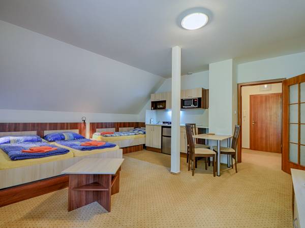Apartamenty Řezáč s.r.o.