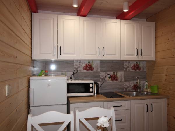 domek pod lasem Borowkowy