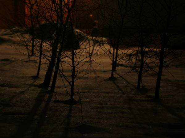 Baśniowe Chaty Hobbitów w Ośrodku Jeździeckim Skręt