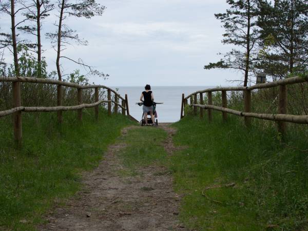 przez las prowadzi leśna droga na plaże