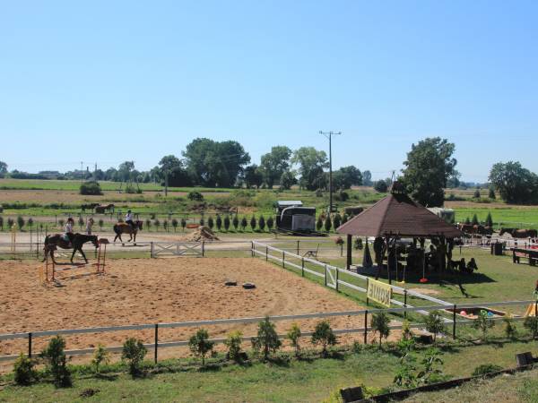 Atrakcje turystyczne w Sztutowie nauka jazdy na koniach w Sztutowie