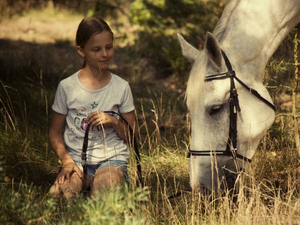 Baśniowe Chaty Hobbitów w Ośrodku Jeździeckim Skręt