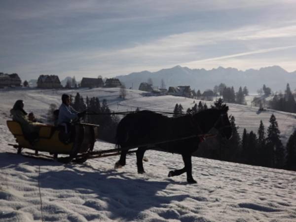 Skupień Adriana i Zbigniew Hyrny