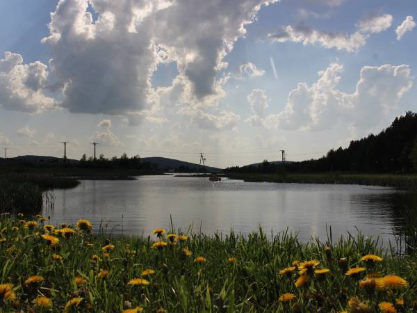 Biały Łabędź domki całoroczne