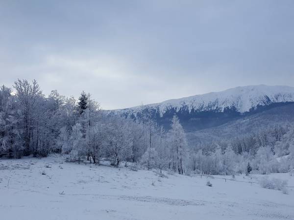 Babia Góra widok z wyciągu Wojtek