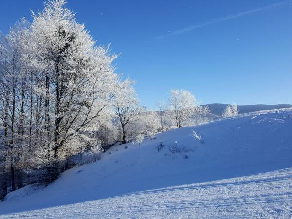 Widok z trasy wyciągu Wojtek