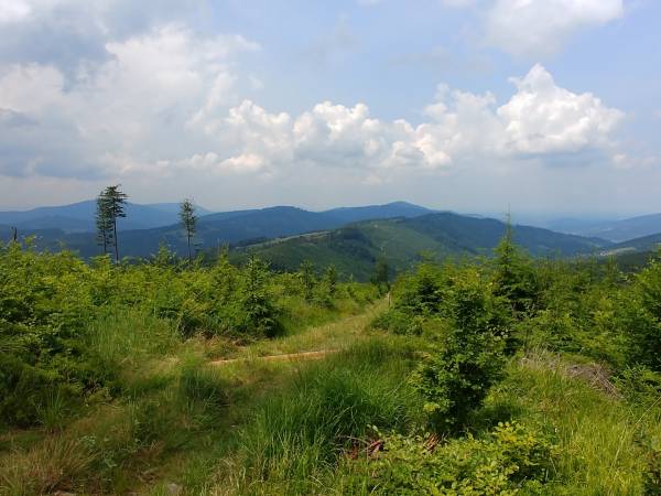 Tereny leśne w Szczyrku