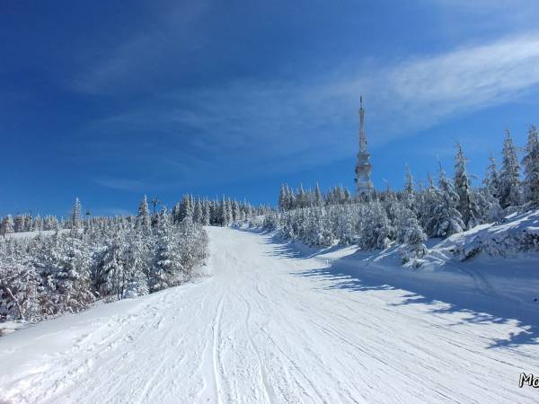 Tereny leśne w Szczyrku