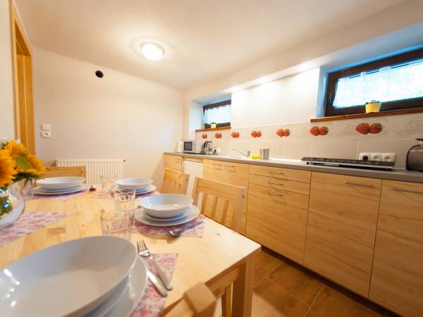 Apartament - kuchnia