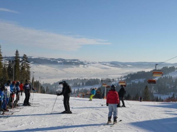 instruktorzy nauki jazdy na miejscu