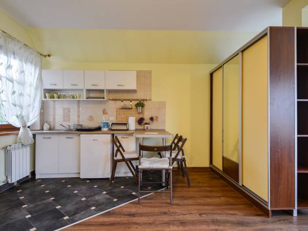 aneks kuchenny w pokoju jednopoziomowym