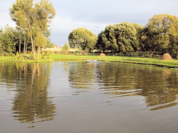 Duży, zarybiony staw