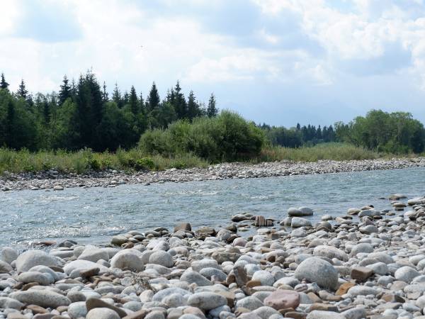 kilka kroków dzieli nas od rzeki Białki