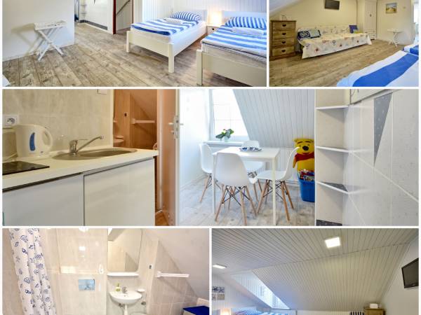Muszelka - pokoje i apartamenty