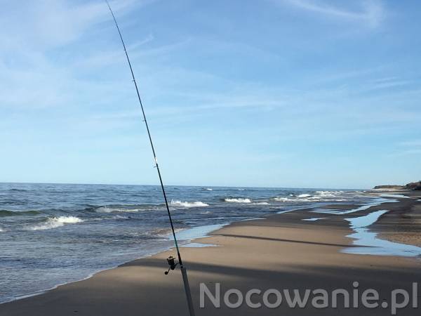 Surfcasting na plaży