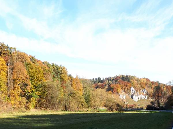 Piękna złota Ojcowska jesień