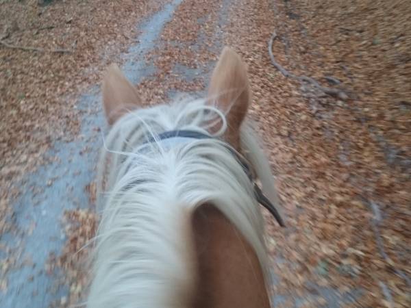 Agroturystyka-Zagroda Studzienno