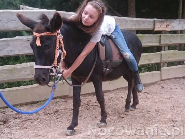 Agroturystyka-Zagroda Studzienno