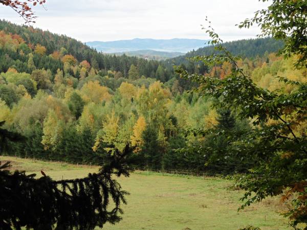 Agroturystyka-Zagroda Studzienno