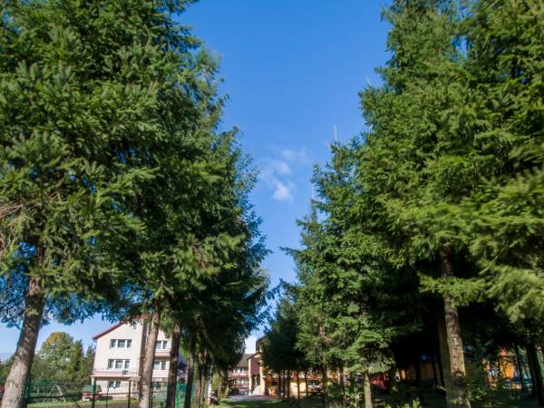 Gospodarstwo Agroturystyczne Pod Świerkami