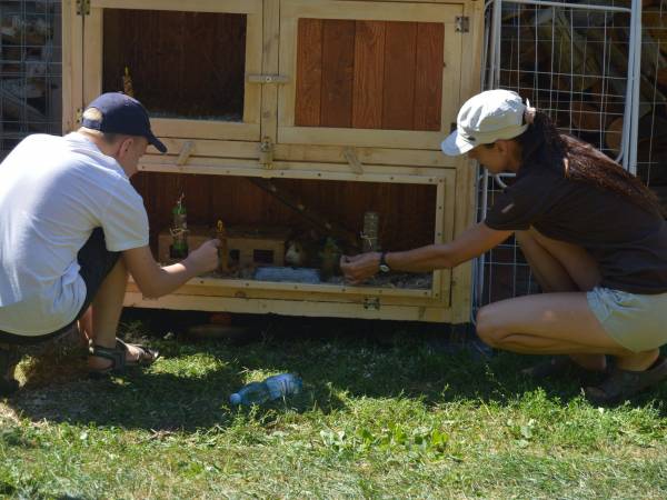Agroturystyka-Zagroda Studzienno
