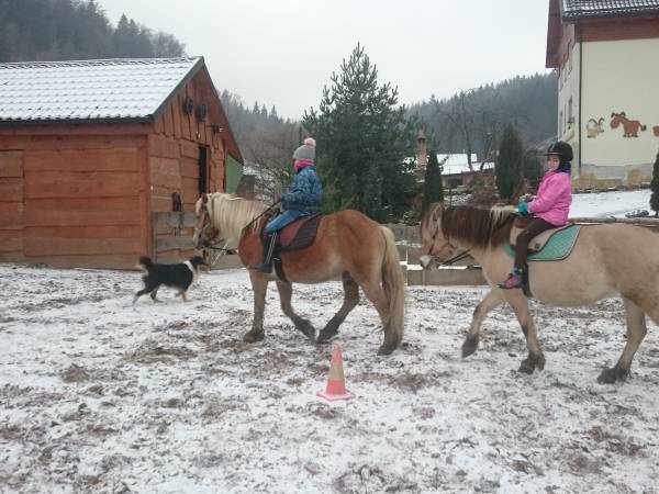 jazda na ujeźdżalni