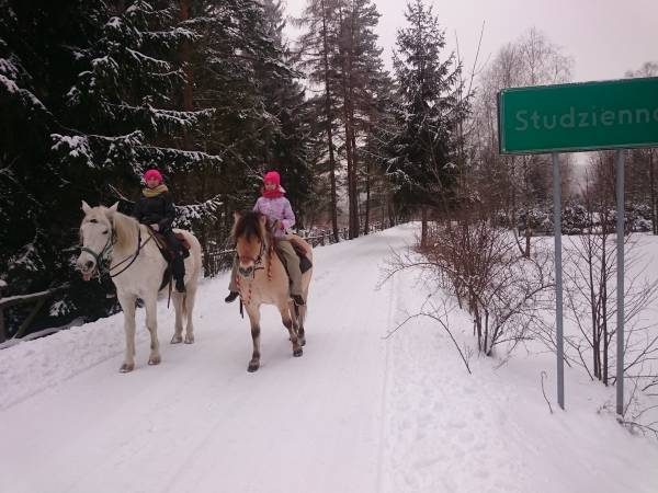 Agroturystyka-Zagroda Studzienno