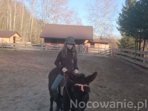 Agroturystyka-Zagroda Studzienno