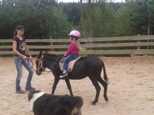 Agroturystyka-Zagroda Studzienno