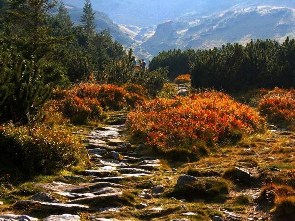 Tatry w barwach jesieni