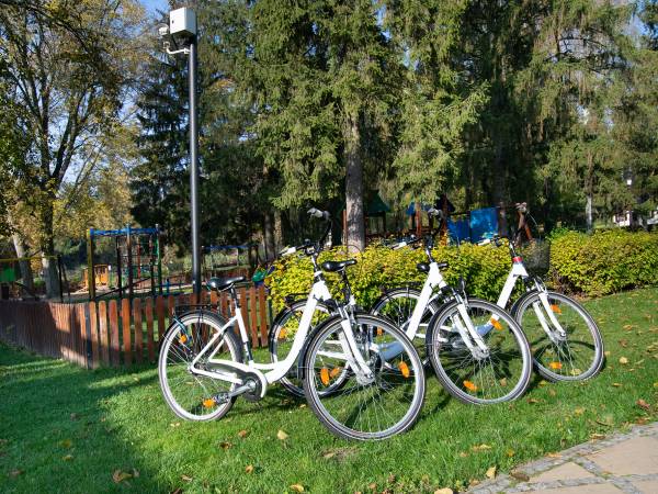 Hotel Przepióreczka 