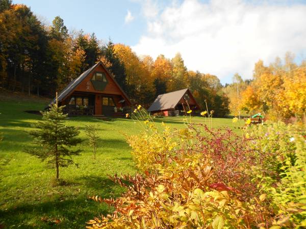 domki "Pod lasem" jesienią