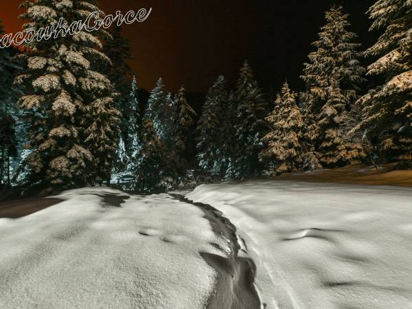 BACOWKAGORCE - prawdziwy domek w górach