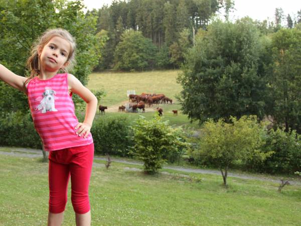 Eko Bajka Domki W Górach 