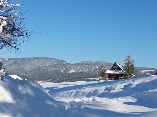 na najbliższym szlaku górskim (Bukowinki, Arena Jaworki - górna stacja wyciągu)