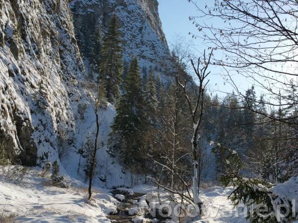 Wąwóz Homole - zimowy spacer