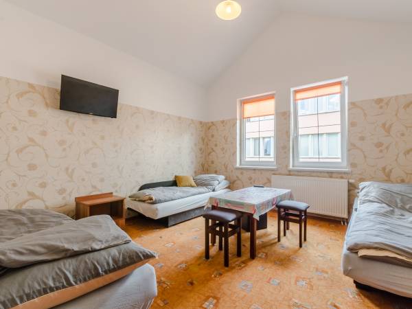 Tanie Noclegi dla firm Traper