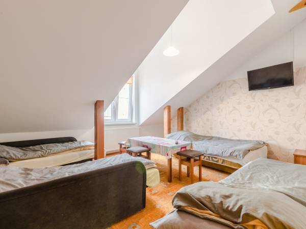 Tanie Noclegi dla firm Traper