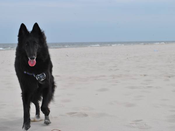 Apartament Kierunek Północ