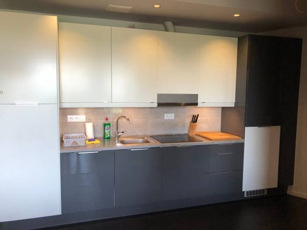 Ap-Olypmic Park 4 Pokojowy Przy Plażyokojowy, aneks kuchenny