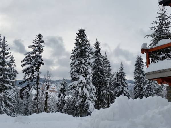 MC82 Anna i Marek Łukaszczyk