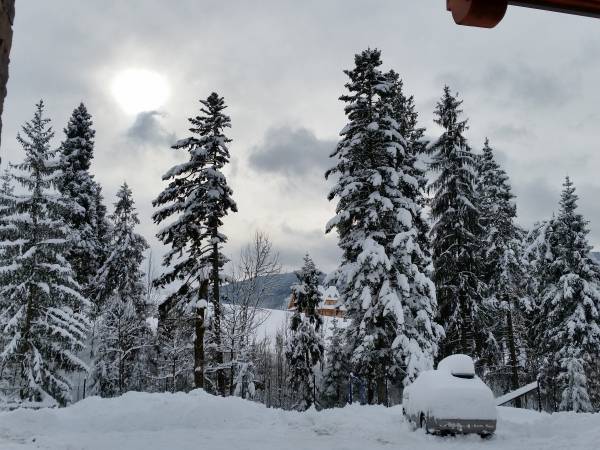 MC82 Anna i Marek Łukaszczyk