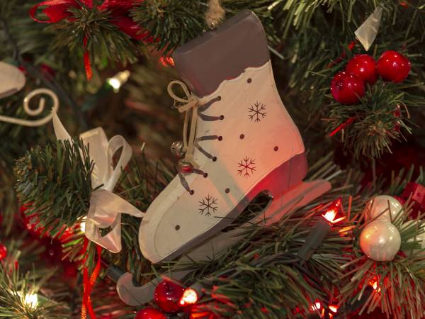 MC82 Anna i Marek Łukaszczyk