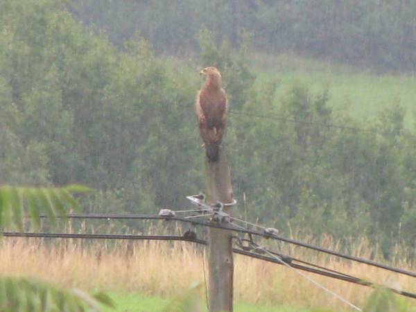 Agroturystyka Pod Złotą Wiechą