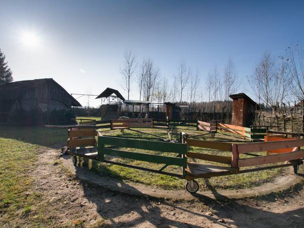 Agroturystyka Bora Zdrój