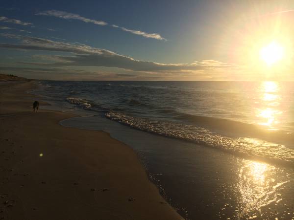 Plaża Stilo - idealne miejsce na dłuższy spacer z psem.
