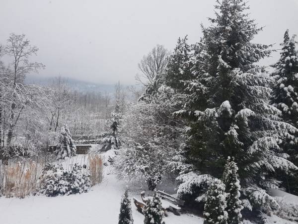 Zdjęcie ogrodu 3 styczeń 2019