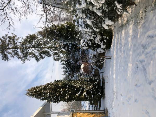 Ekskluzywna Rezydencja Marilyn Monroe